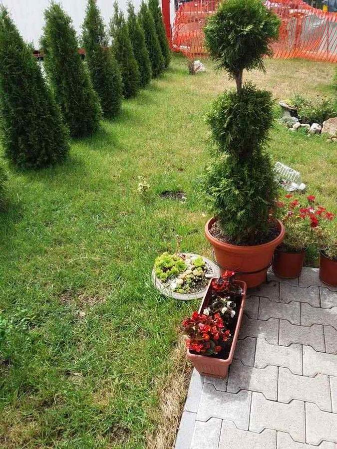 Lufi Penthouse Apartment Zlatibor Zewnętrze zdjęcie
